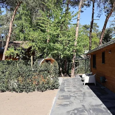 Luxe Houten Wellness Boshuisje Met Yoga En - Sereno Holiday home Meijel