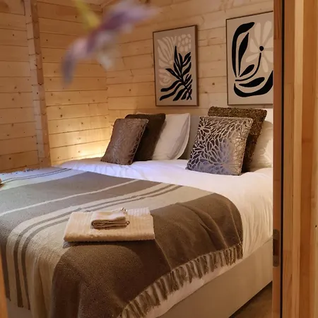 Luxe Houten Wellness Boshuisje Met Yoga En - Sereno Holiday home
