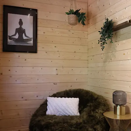 Luxe Houten Wellness Boshuisje Met Yoga En - Sereno Holiday home Meijel