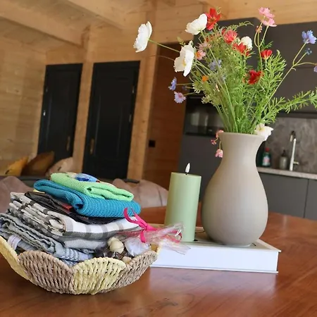 Luxe Houten Wellness Boshuisje Met Yoga En - Sereno Holiday home *